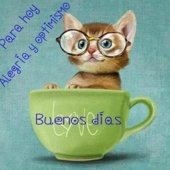 Meet your Posher, Marjosusana - Picture 1 of 1